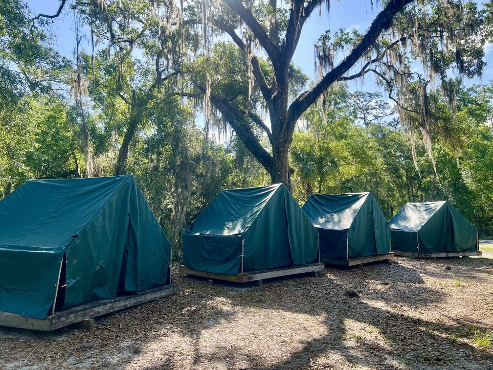 Scout wall tents set up in a wooded camping area